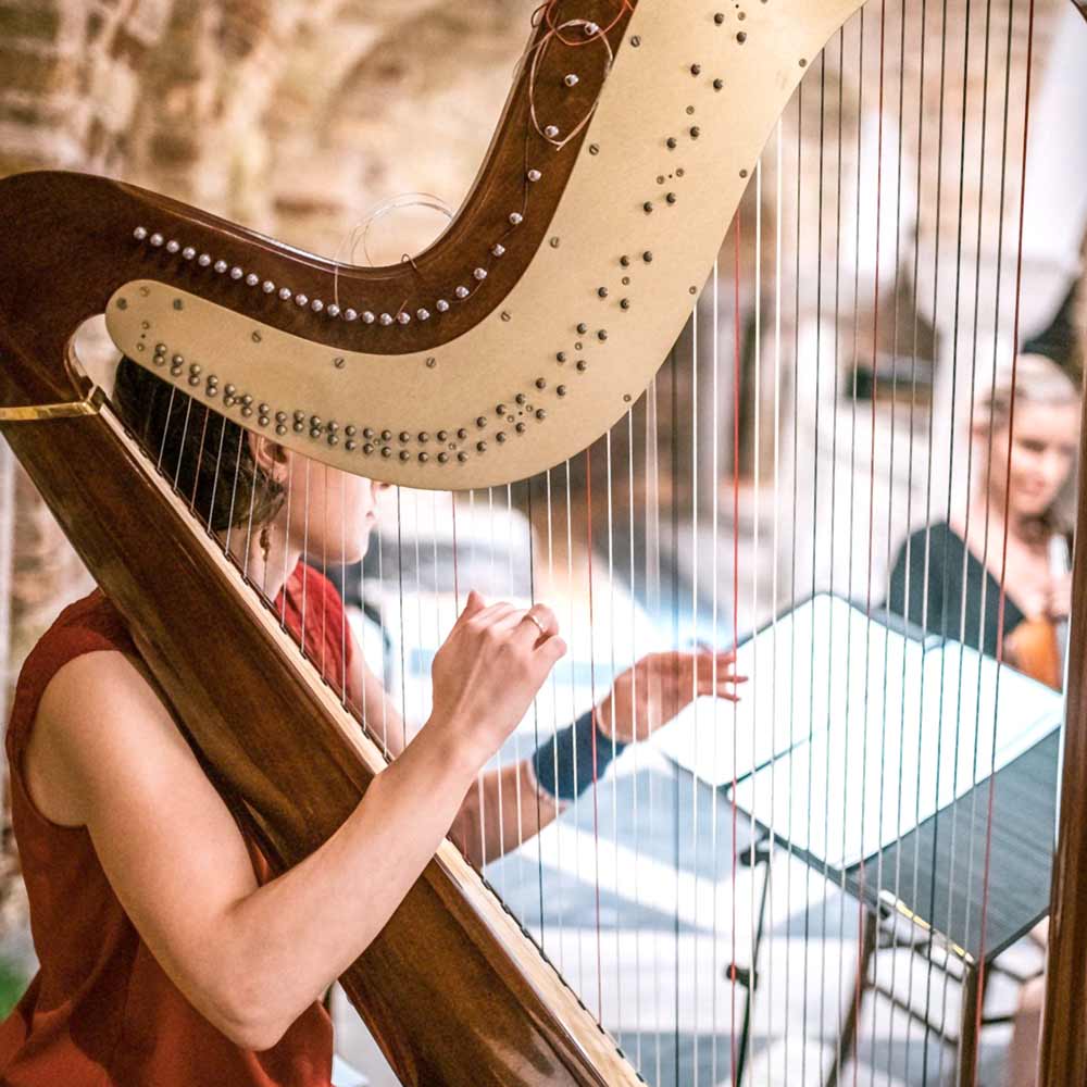 Teenage girl playing harp, side view Stock Photo - Alamy