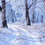 Winter Wonderland – Felix Bernard, Online Pianist, Virtual Piano Winter Wonderland – Felix Bernard, Online Pianist, Virtual Piano