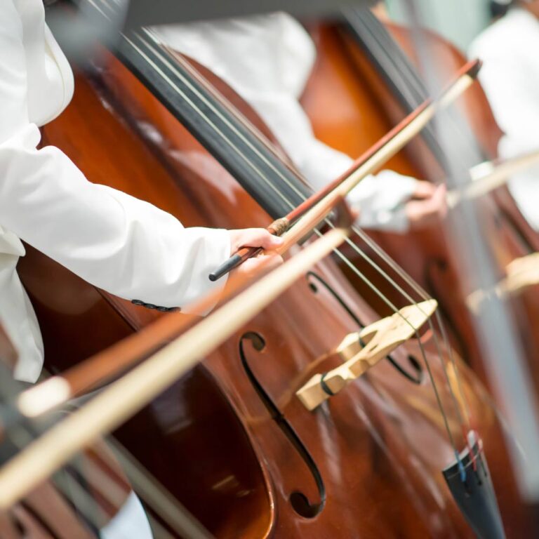 Virtual Double Bass Play Online Instruments Virtual Piano