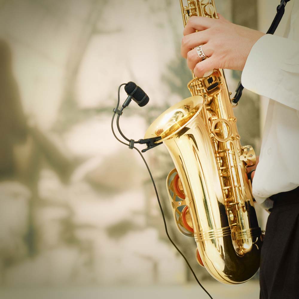 Saxophone on sale virtual instrument