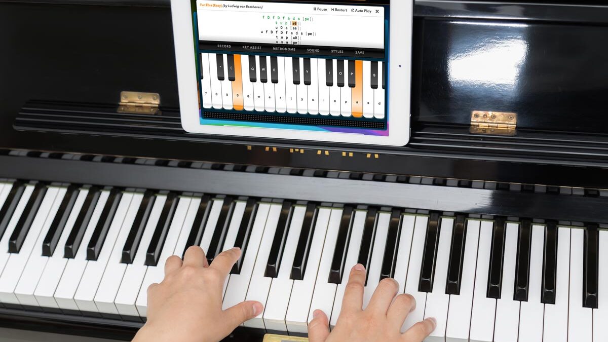 The Piano 🎹 Game Free Activities online for kids in 3rd grade by
