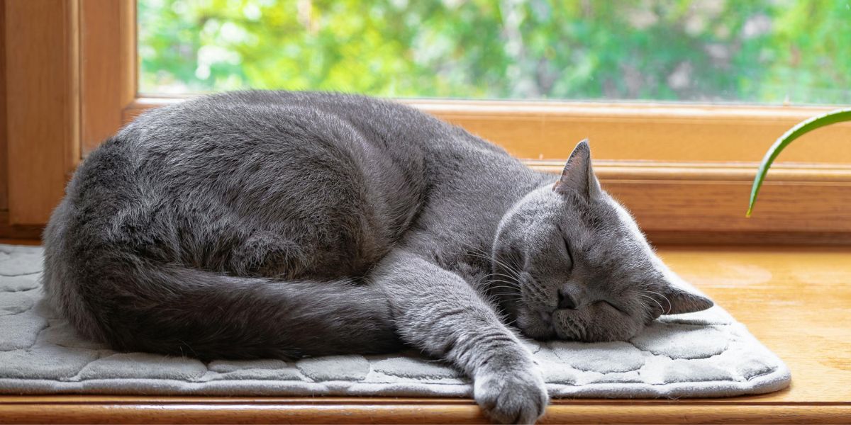 Playing piano from home saves time