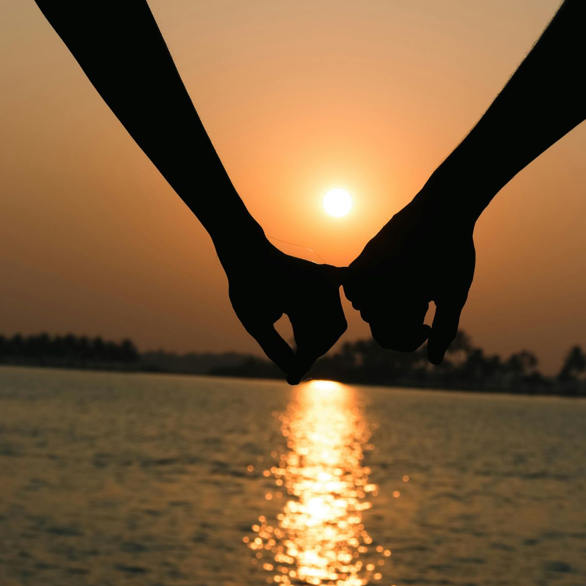 Piano Songs Worth Proposing To, Virtual Piano