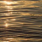 10 Piano Songs for Focus, Flow and Productivity, Virtual Piano