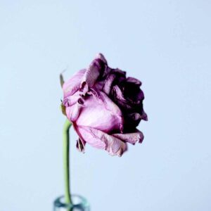 Adieu To The Piano (Alternative) - Ludwig Van Beethoven, Best Online Piano Keyboard, Virtual Piano