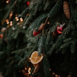 All I Want For Christmas Is New Year's Day (Hurts), Best Online Piano Keyboard, Virtual Piano