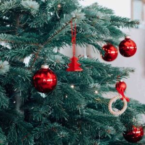 Carol Of The Bells (Alternative), Best Online Piano Keyboard, Virtual Piano