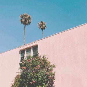 End of Beginning (Djo), Best Online Piano Keyboard, Virtual Piano