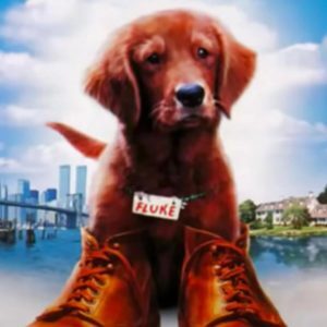 Fluke Soundtrack – Carlo Siliotto, Best Online Piano Keyboard, Virtual Piano