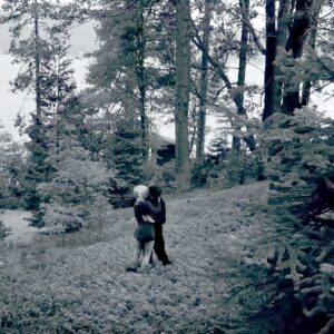 Freaks - Surf Curse, Best Online Piano Keyboard, Virtual Piano