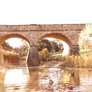 Frère Jacques – Nursery Rhyme, Alternative, Best Online Piano Keyboard, Virtual Piano