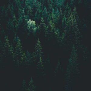 Go Solo (Tom Rosenthal), Best Online Piano Keyboard, Virtual Piano