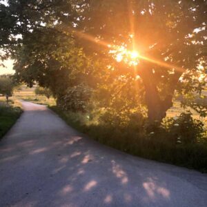 Hallelujah – Leonard Cohen, Intermediate, Best Online Piano Keyboard, Virtual Piano