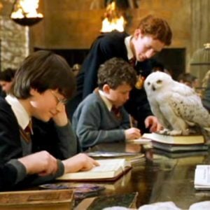 Hedwig's Theme (Harry Potter), Best Online Piano Keyboard, Virtual Piano