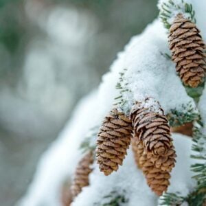 In-The-Bleak-Midwinter-Gustav-Holst-Best-Online-Piano-Keyboard-Virtual-Piano