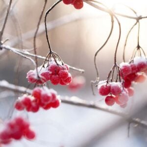 In The Bleak Midwinter - Gustav Holst, Expert, Best Online Piano Keyboard, Virtual Piano