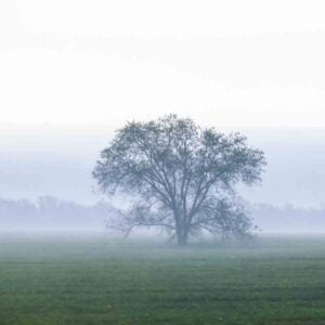 Jane Maryam (Evgeny Grinko), Best Online Piano Keyboard, Virtual Piano