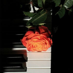 Love-Theme-Nino-Rota's-Romeo-and-Juliet-Best-Online-Piano-Keyboard-Virtual-Piano