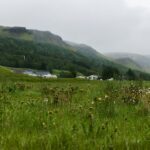 Mary Had a Little Lamb, Online Piano Keyboard, Virtual Piano