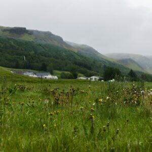 Mary Had a Little Lamb, Online Piano Keyboard, Virtual Piano