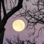 Moonlight Shadows, Online Piano Keyboard, Virtual Piano
