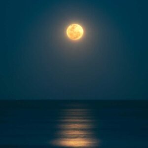 Moonlight Sonata (1st Movement) - Ludwig van Beethoven, Best Online Piano Keyboard, Virtual Piano