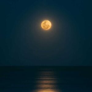 Moonlight Sonata (Easy), Best Online Piano Keyboard, Virtual Piano