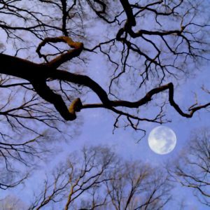 Moonlight Sonata – Ludwig van Beethoven, Virtual Piano