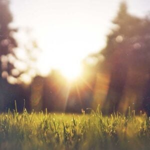 Morning Mood - Edvard Grieg, Norway, Virtual Piano