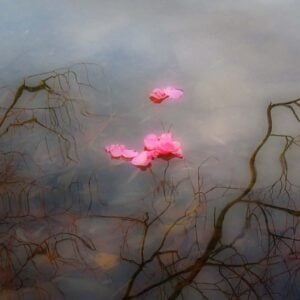 Nocturne Op. 15, No. 1 (Chopin), Best Online Piano Keyboard, Virtual Piano