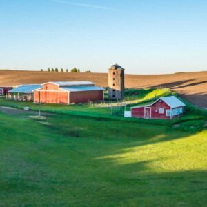 Old MacDonald Had A Farm – Thomas d’Urfey, Easy, Virtual Piano