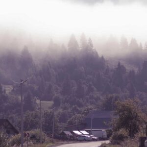 Quiet And Falling (Lena Raine), Best Online Piano Keyboard, Virtual Piano