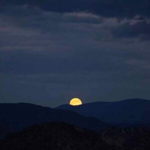 Rises The Moon (Liana Flores), Best Online Piano Keyboard, Virtual Piano