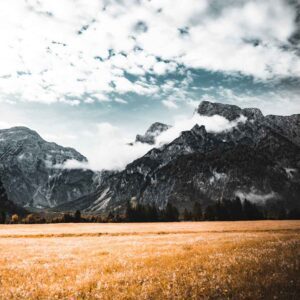 Scarborough Fair (Easy), Best Online Piano Keyboard, Virtual Piano