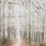 Slavonic Dance in E minor, Op.72, No.2, Online Piano Keyboard, Virtual Piano