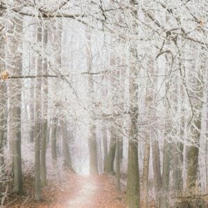 Slavonic Dance in E minor, Op.72, No.2, Online Piano Keyboard, Virtual Piano