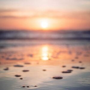 Solas (Jamie Duffy), Best Online Piano Keyboard, Virtual Piano