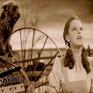 Somewhere Over the Rainbow, Online Pianist, Virtual Piano