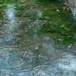 Song Of Storms, Online Piano Keyboard, Virtual Piano