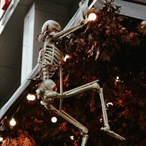 Spooky Scary Skeletons (Easy), Best Online Piano Keyboard, Virtual Piano