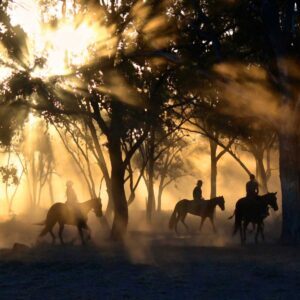Take Me Home, Country Roads – John Denver, Intermediate, Virtual Piano
