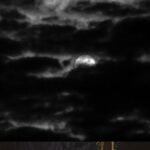 Tenebre Rosso Sangue, Online Piano Keyboard, Virtual Piano