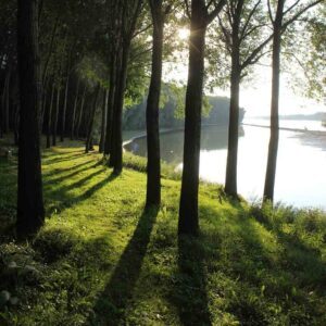 The Blue Danube Waltz, Best Online Piano Keyboard, Virtual Piano