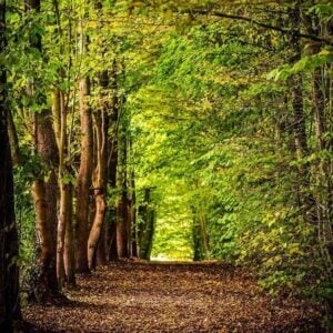 The Longest Johns, Artist on Virtual Piano, Play Piano Online