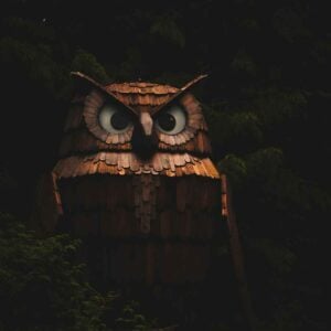 The Owl House Credits Theme, Best Online Piano Keyboard, Virtual Piano