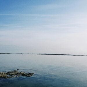 Trisha's Lullaby , Online Piano Keyboard, Virtual Piano