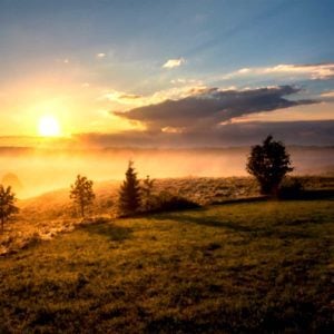 Una Mattina – Ludovico Einaudi, Alternative, Online Pianist, Virtual Piano