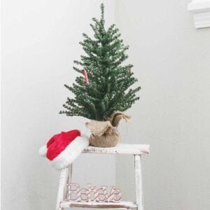 We Wish You A Merry Christmas (Alternative), Best Online Piano Keyboard, Virtual Piano