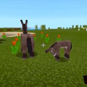 Wet Hands - C418 (Minecraft)