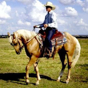 William Tell Overture - Gioachino Rossini, Best Online Piano Keyboard, Virtual Piano